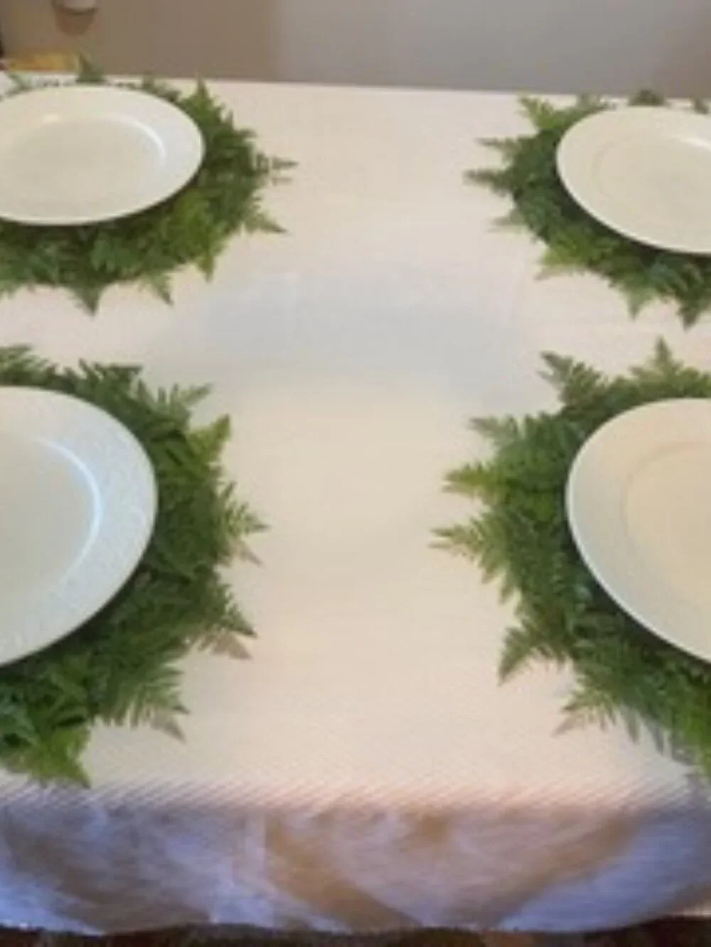 Pier 1 Fern Placemats Set of 4 NEW!